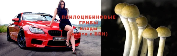 кокс Армянск