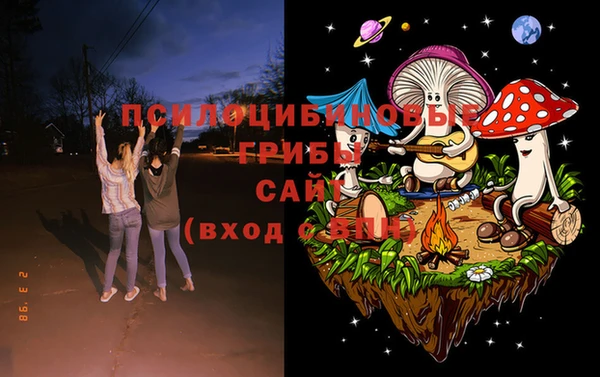 дмт Аркадак