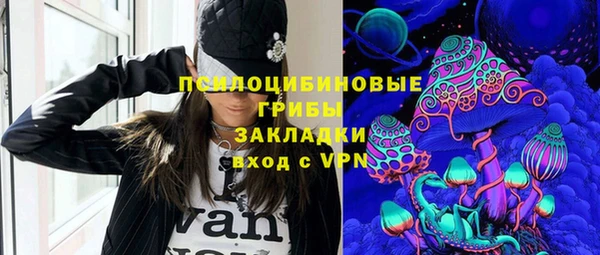 дмт Аркадак