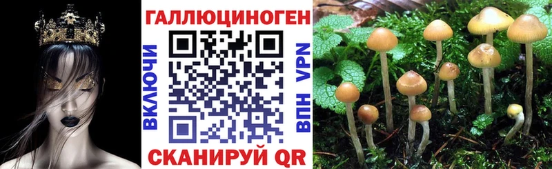 мега tor Перевоз Псилоцибиновые грибы прущие грибы